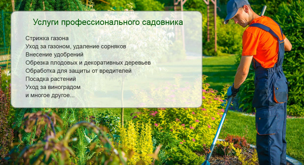 садовник, стрижка газона, обработка участков, для сада и огорода, услуг