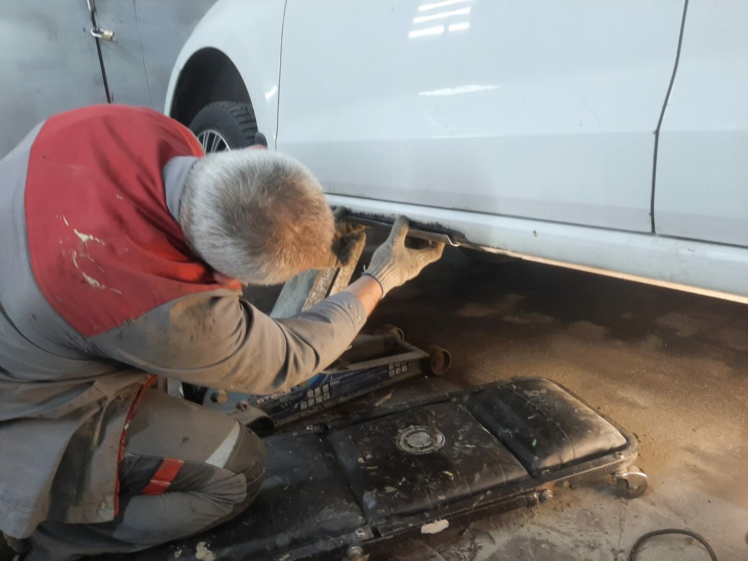 ������������ �������������� ��������������������, ������������������ ���������� �������� ����������, ������������ ������������, ���������� ��������������������, ������������ ���� ��������