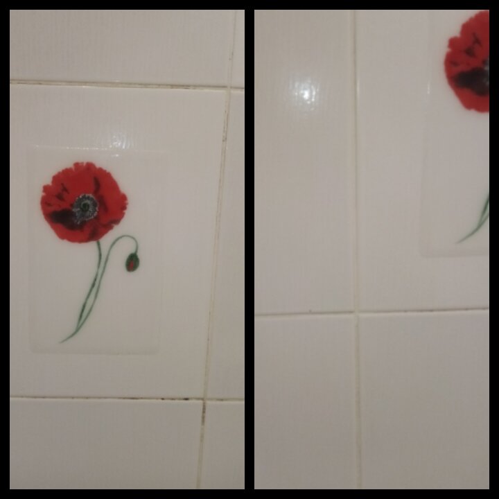 плитка декор маки, мак, мак цветок, картина цветок, red poppy