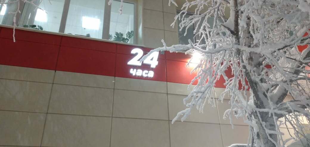 природа, зимнее, снег, ветка, дерев