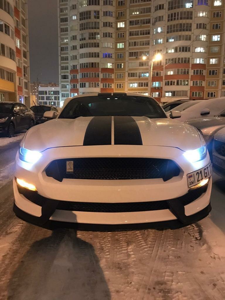 ford mustang, shelby mustang, chevrolet camaro, автомобиль в россии, 2017-2020 ford mustang shelby gt 350