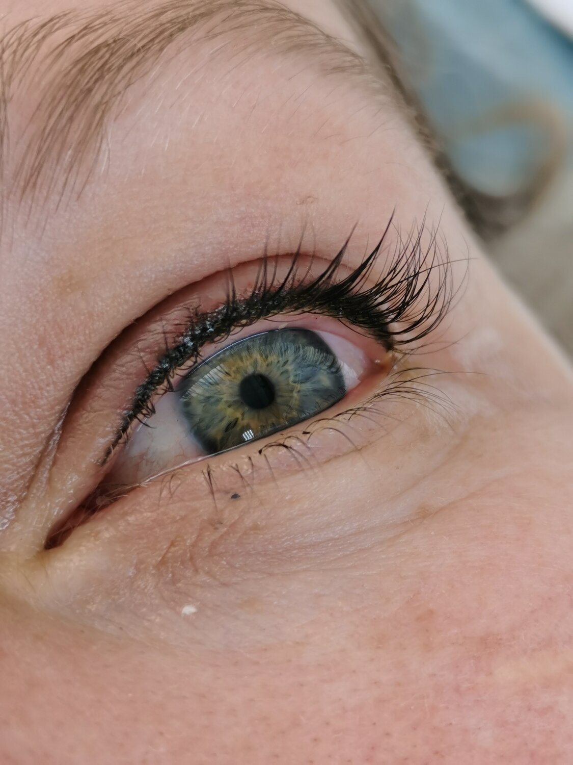 ресницы, глаз, перманент глаз межресничное пространство, взгляд, воспаление межресничного пространства век