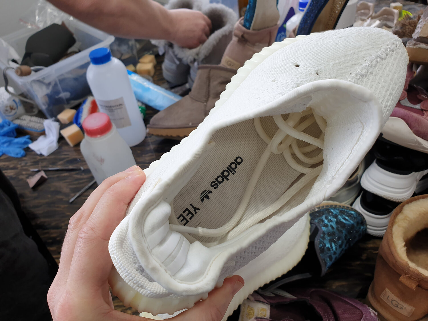 кроссовки, adidas yeezy boost 350 white женские, женские кроссовки, обувь, adidas yeezy