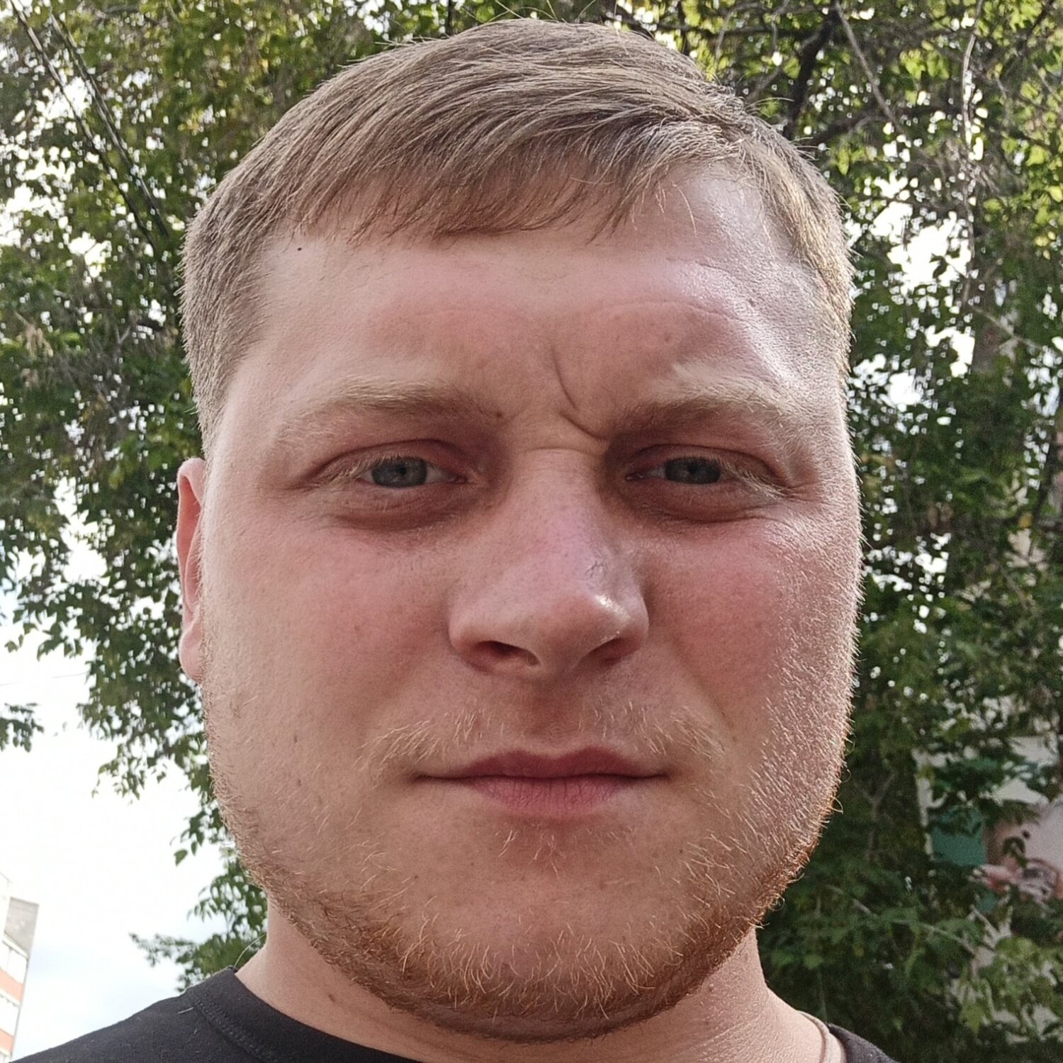 Дмитрий Чернозипунников