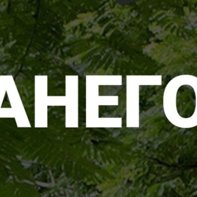 АНЕГО