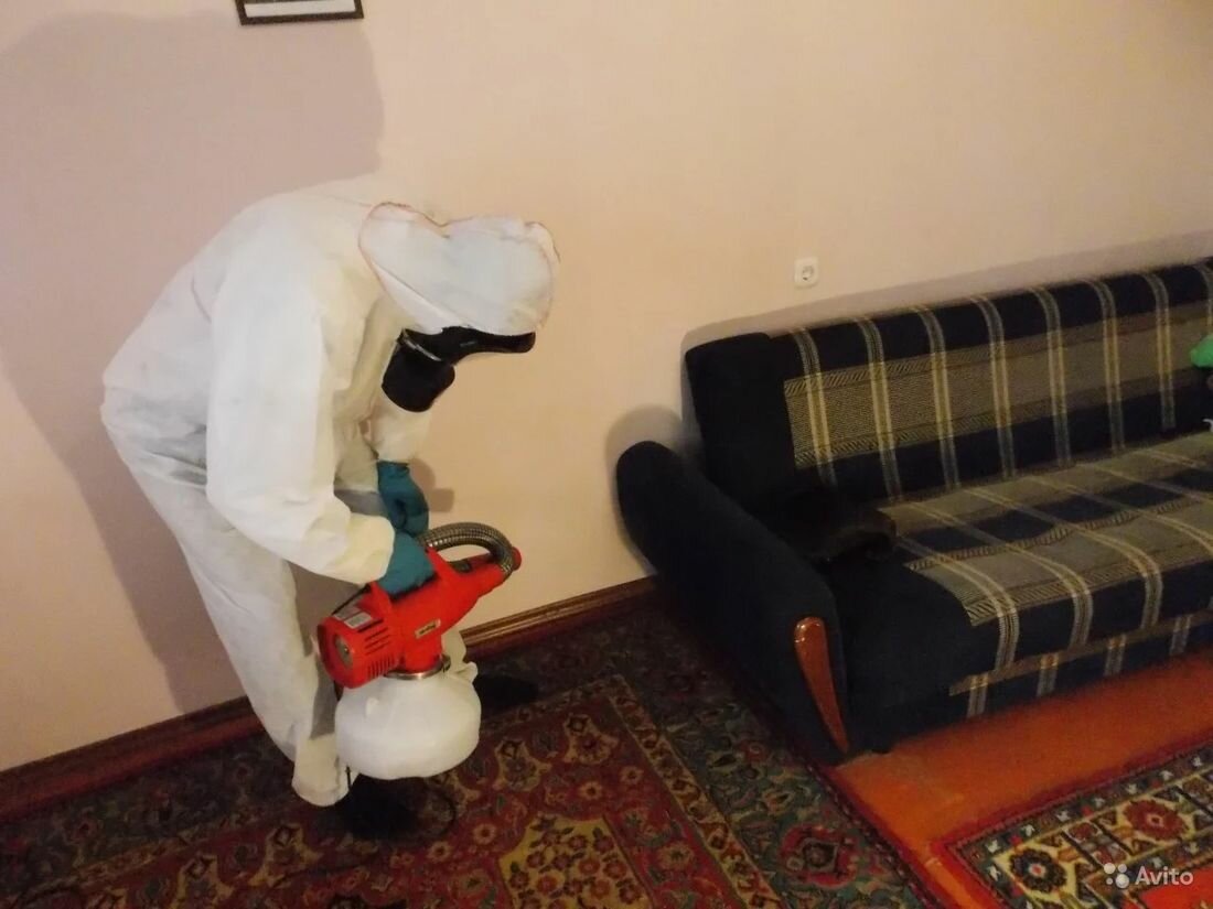 дезинсекция клопов туманом, дезинсекция домов, комната, уничтожение клопов, дезинсекция