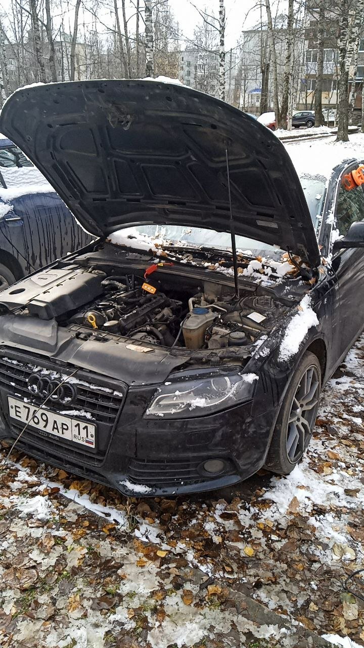 ауди а 4, ауди а 6, ауди, ауди а6, машина audi