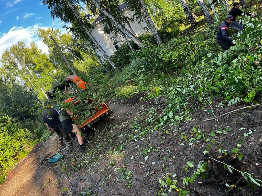 природа, огород, работа на огороде, прополка огорода, озеленение