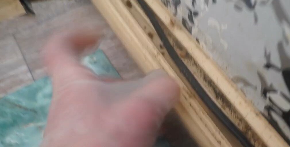 фото в квартире, человек, клоп домашний, плинтус, пчелы в улье