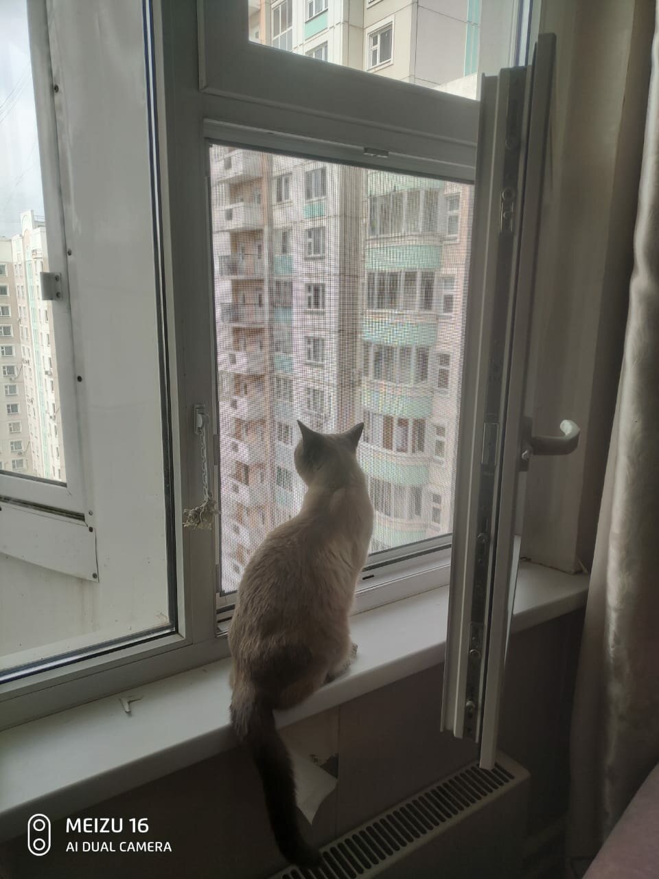 кошачий балкон антикошка katfreedom, сетка антикошка на раздвижные окна, рафаэль антикошка, москитная сетка антикошка, антикошка на пластиковые окна раменское