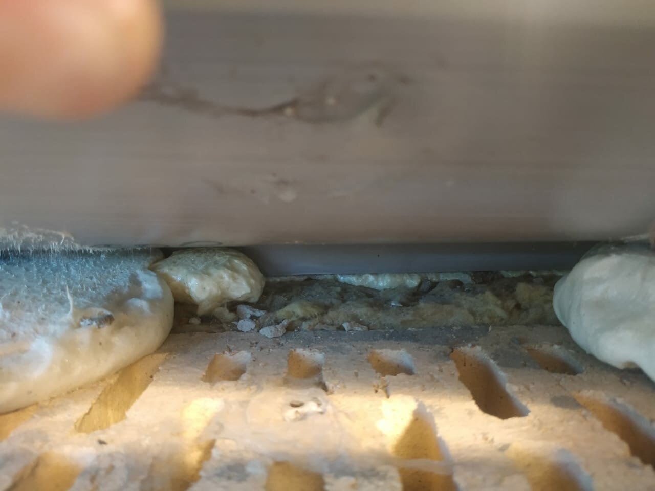 рыбы, рыба, пресноводные рыбы, мороженая рыба, рыба морепродукты