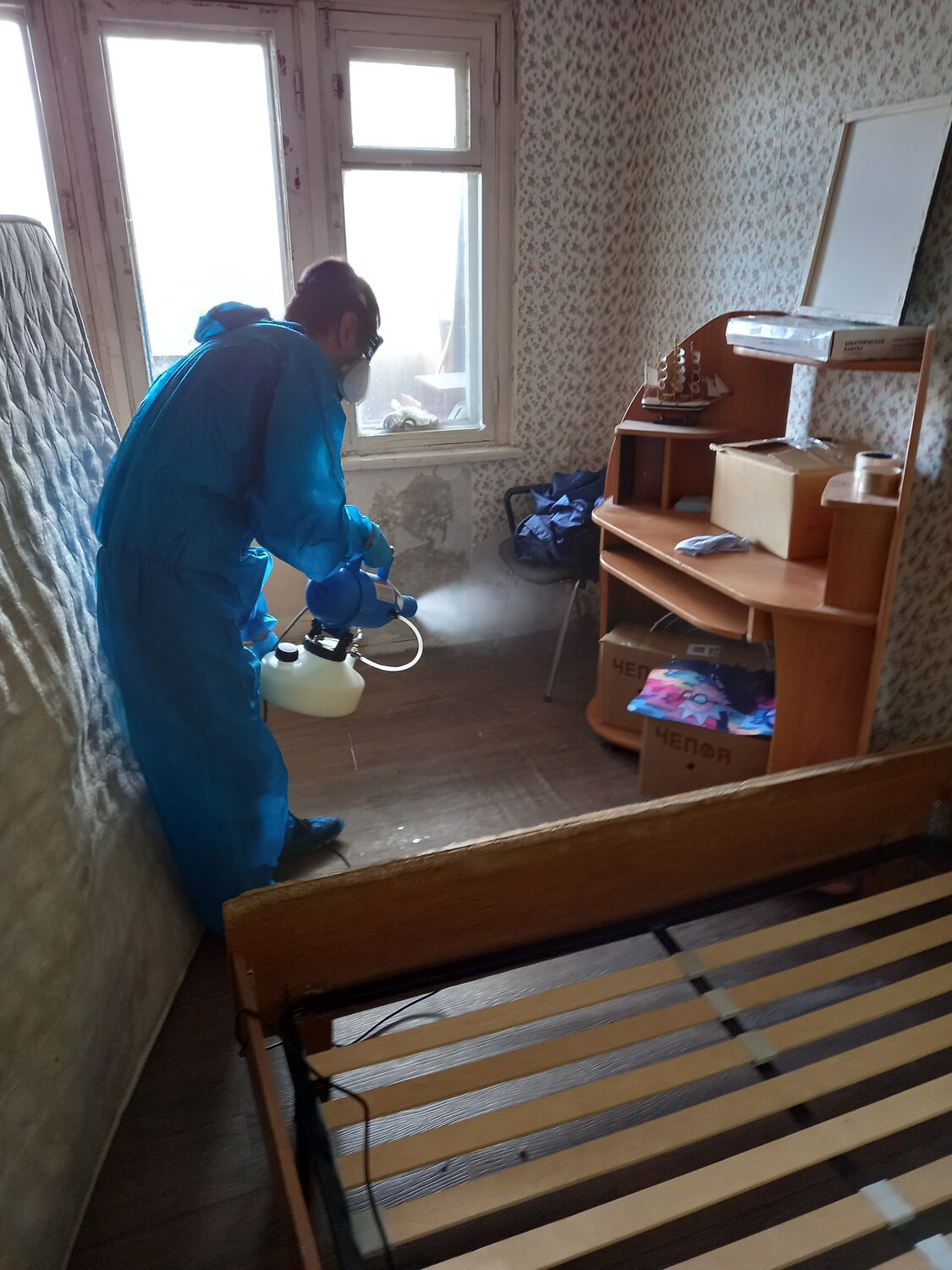 дезинфекция дезинсекция дератизация, дезинсекция, дезинфекция помещений, дезинфекция и дезинсекция, дезинфекция от клопов