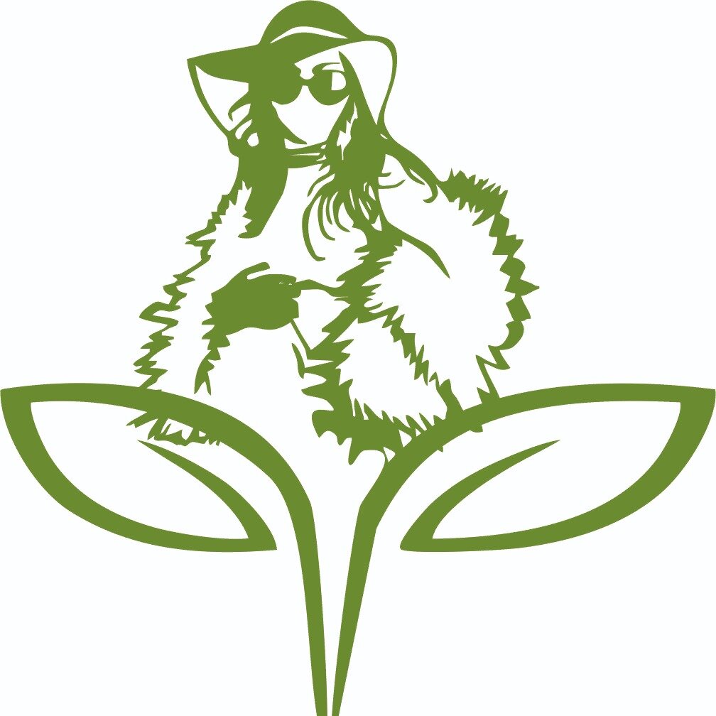 Не химчистка GreenСean