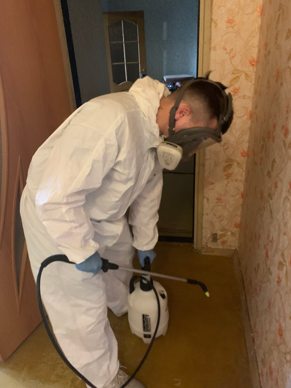 дезинфекция, дезинсекция, дезинфекция помещений от клопов, дезинфекция клопов москва, дезинфекция дезинсекция дератизация