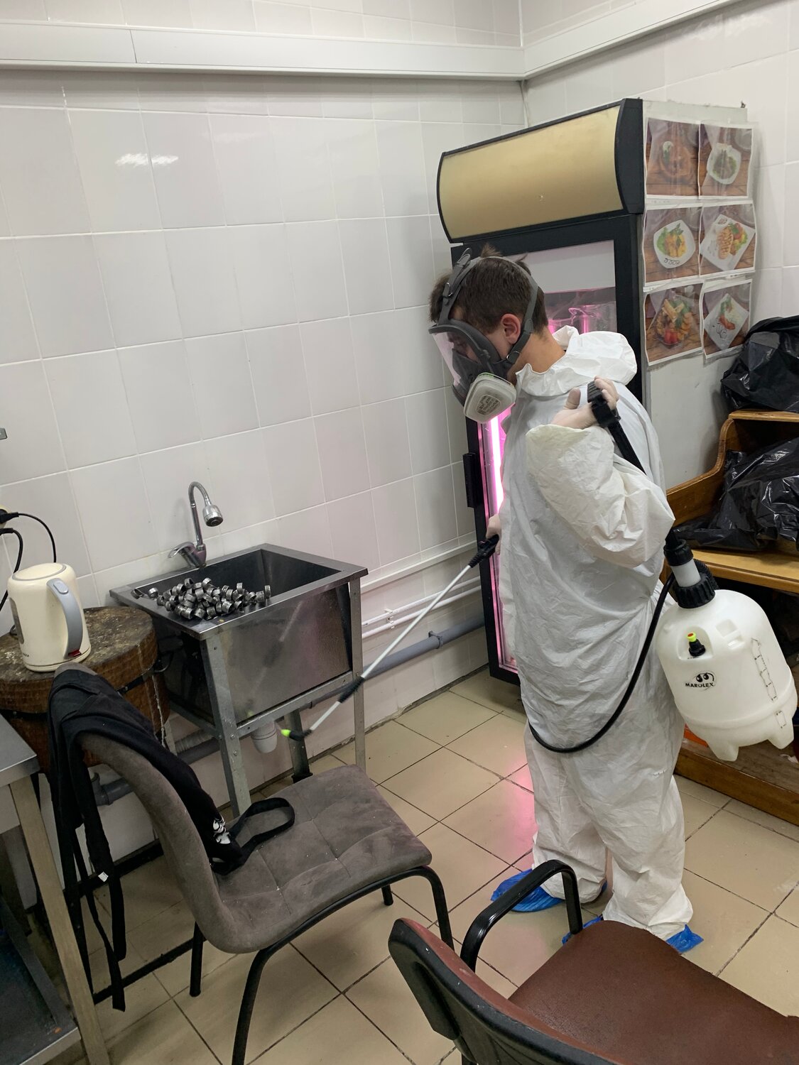 дезинсекция, дезинфекция, дезинфекция помещений, дезинфекция и дезинсекция, дезинфекция дератизация дезинсекция деконтаминация