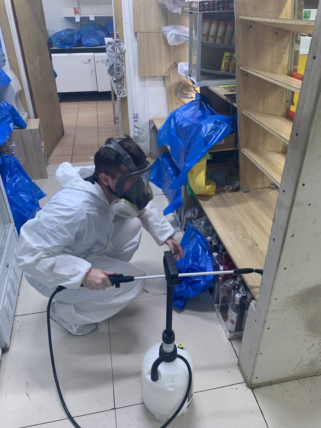 дезинфекция, дезинсекция, дезинфекция дезинсекция дератизация, дезинфекция и дезинсекция, дезинфекция помещений