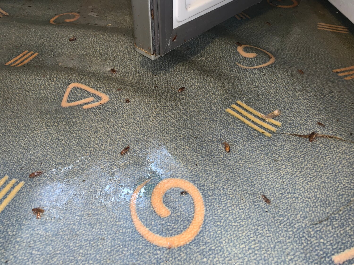 ковровое покрытие, ковер, покрытия, линолеум, промышленные полы