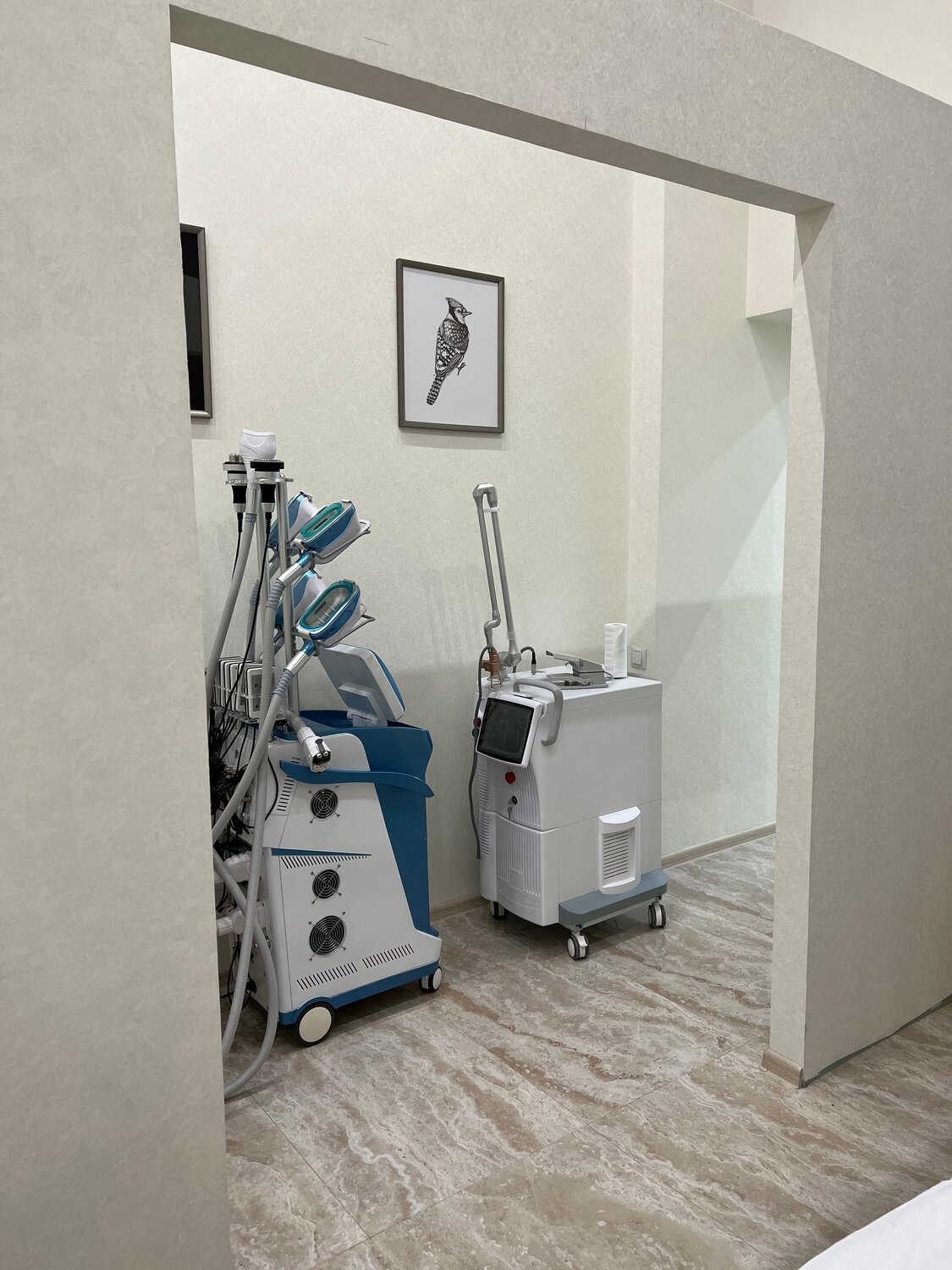 клиника академической косметологии ул. гримау, лазерный аппарат со2 fractional co2 laser, лазерный аппарат, александритовый лазер quanta system, эрбиевый лазер sciton