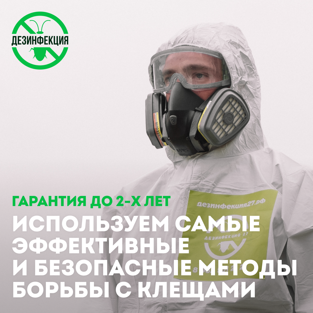 дезинфекция от клопов, дезинфекция от клопов ижевск, дезинфекция дезинсекция дератизация, дезинфекция тараканов, дезинсекция