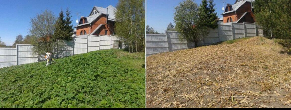 участок дачный, участок в деревне, дача, участок, ландшафт