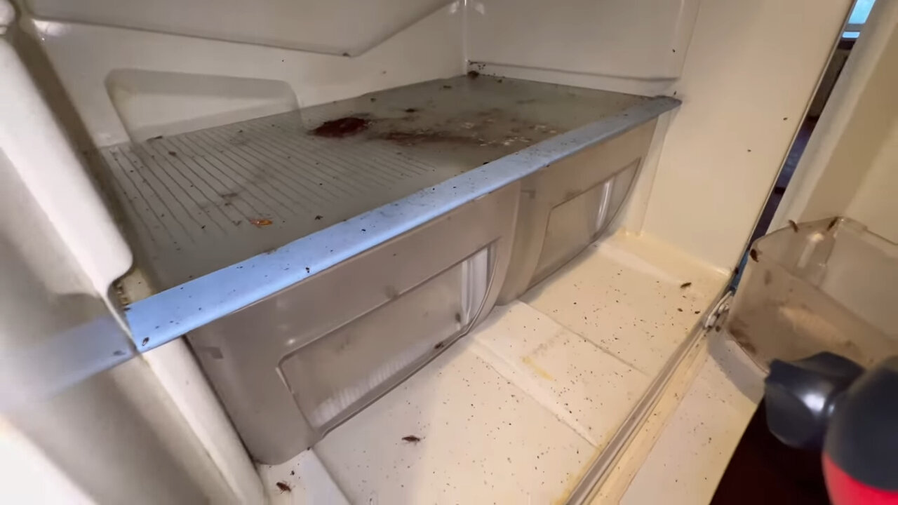 катер кобра 1850 сс интерьер, bayliner 2452 каюта, катер yamaha fr 21, land rover defender кемпер, катер стингрей 210