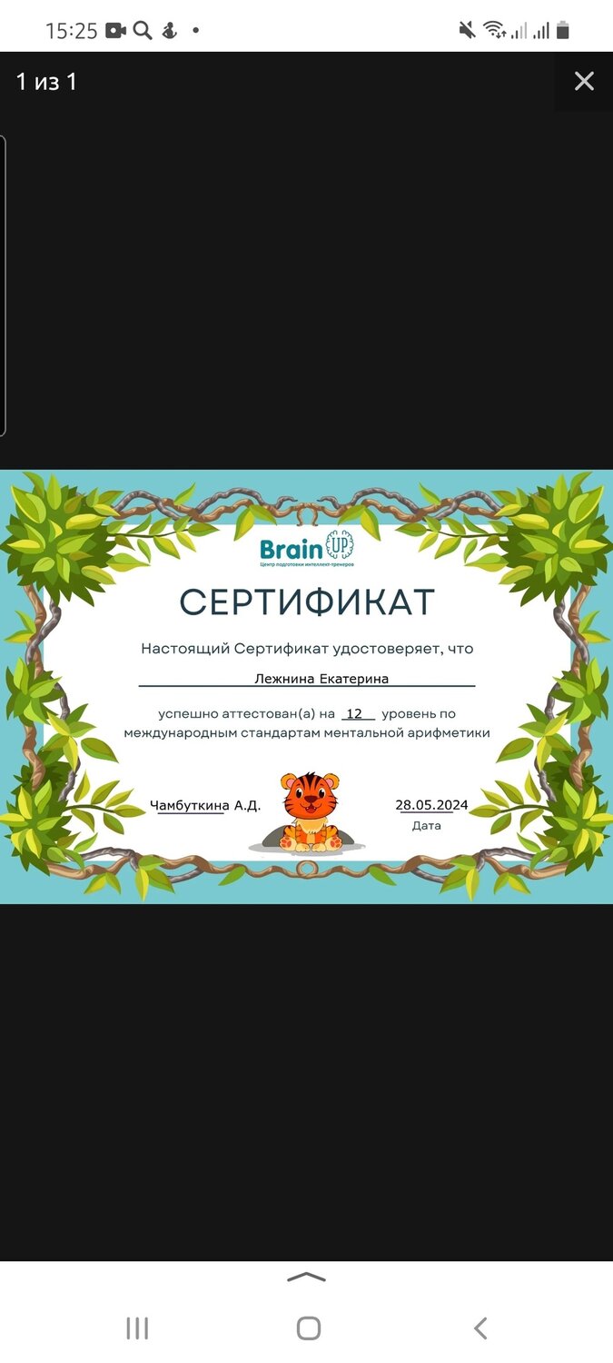 сертификат, сертификаты вебинары каменный город с сертификатами, сертификат для детей, диплом, конкурсы