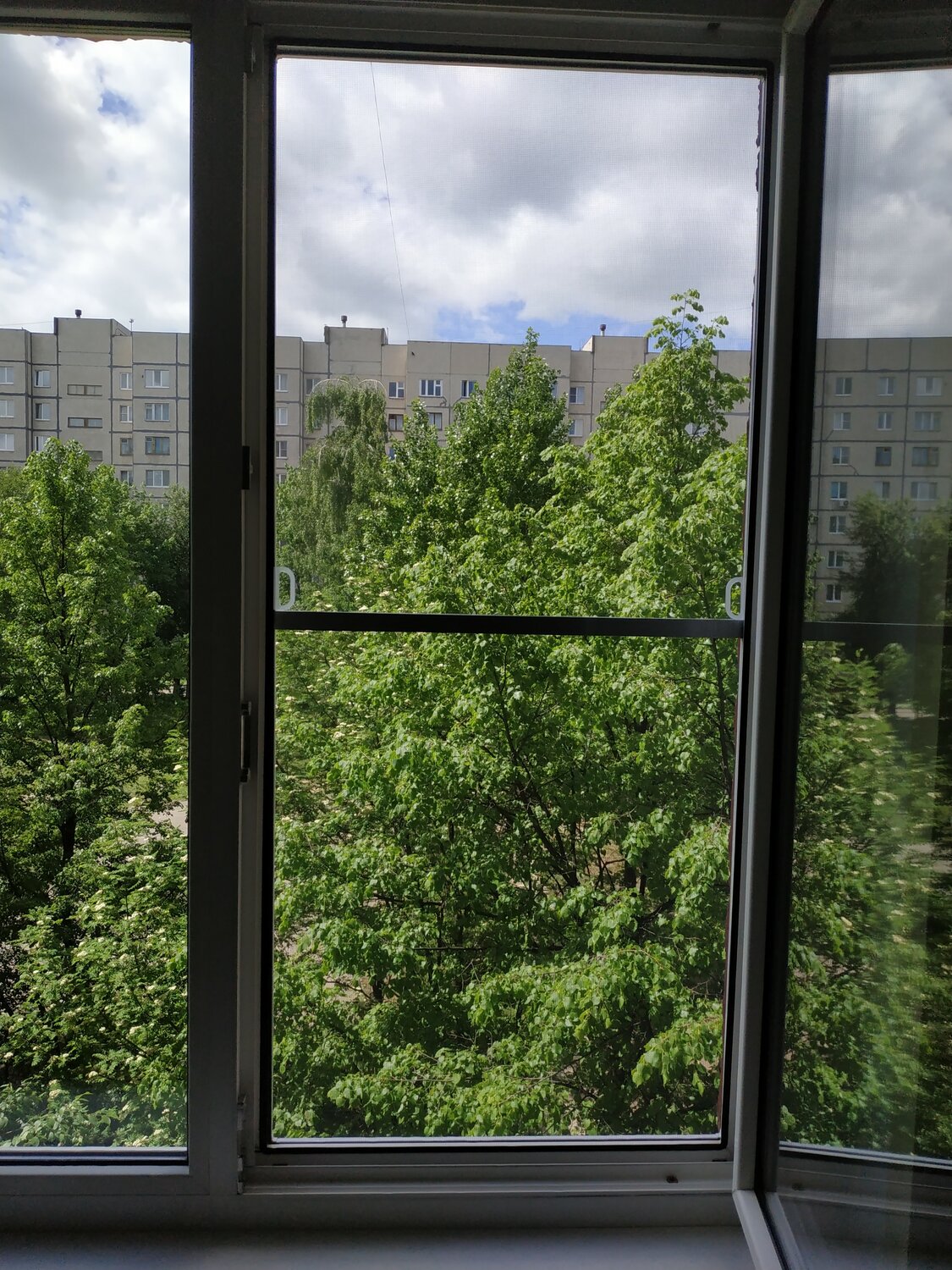 окна, вид из окна, лоджия, из окна, пластиковое окно