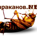 Тараканов.NET