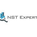 NST-Expert