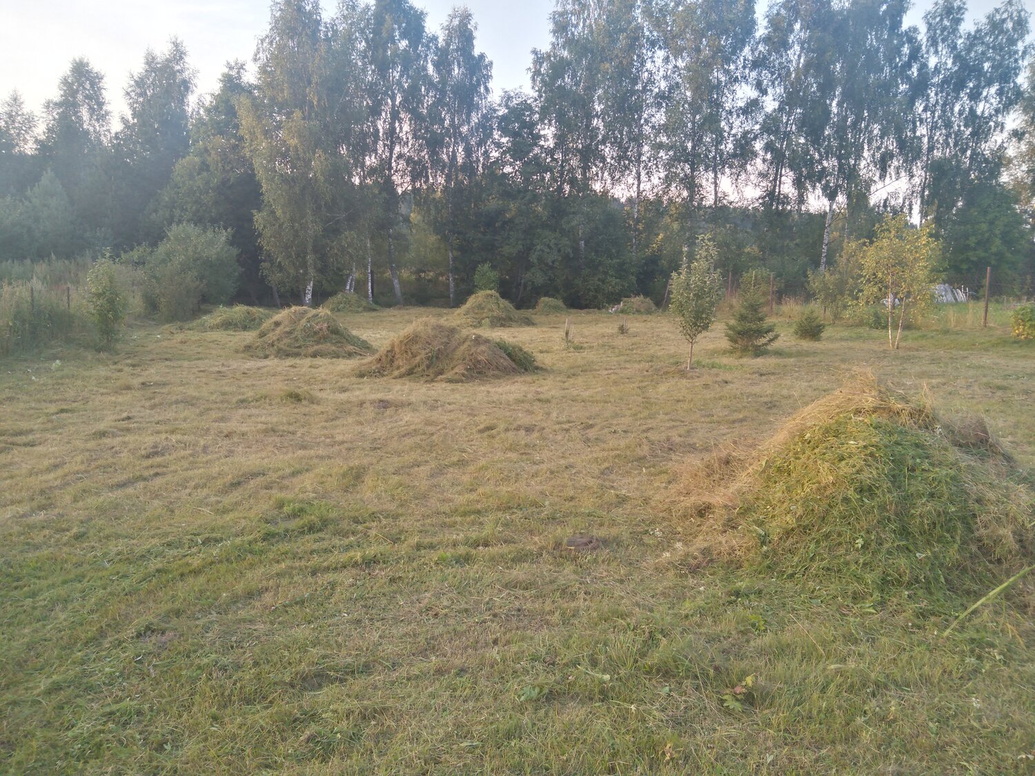городище, краснояровское городище земляной вал, труворово городище, участок, земельный участок