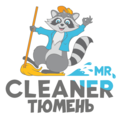 Mr.Cleaner