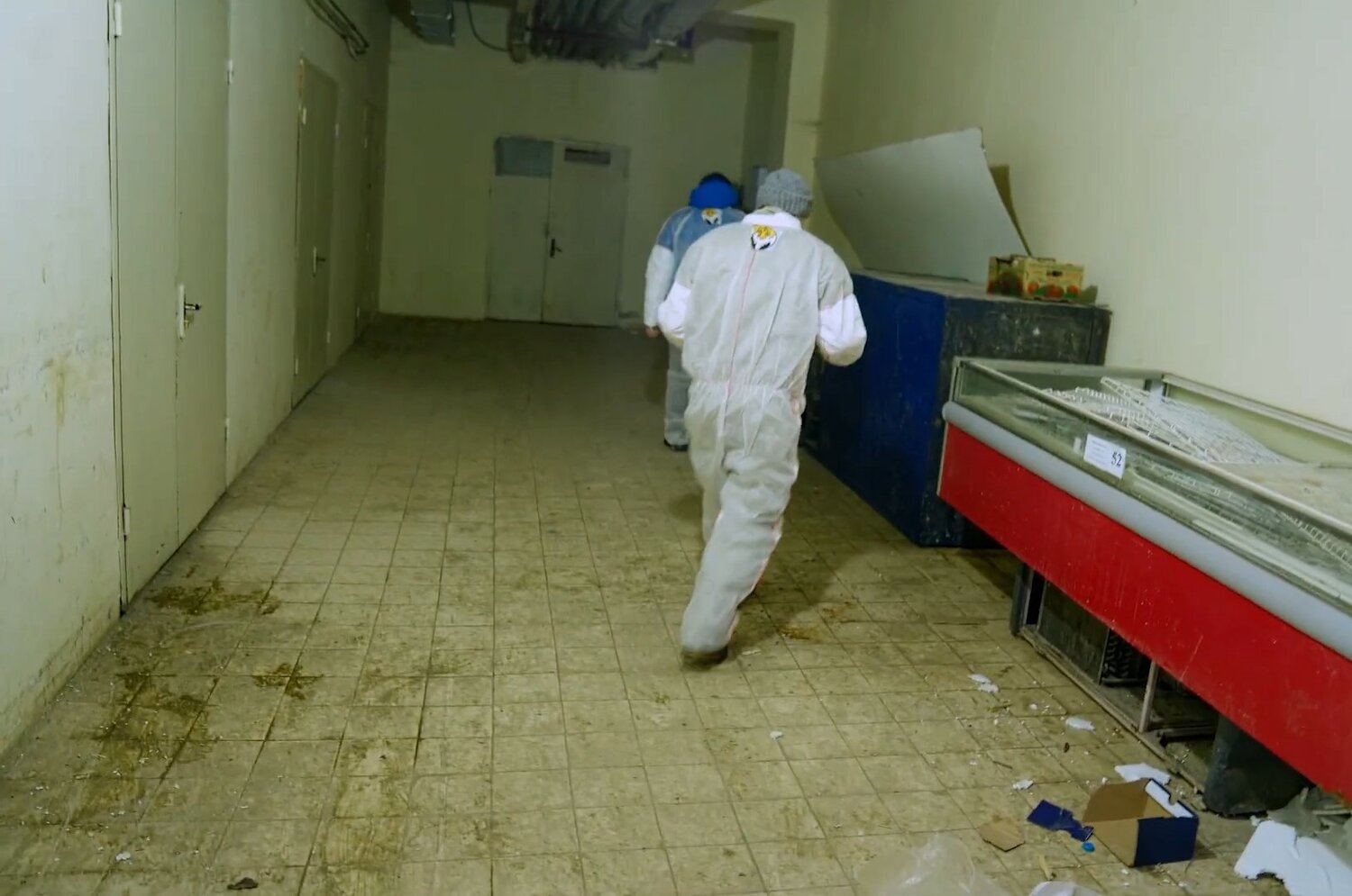 дезинфекция, дезинсекция, дезинфекция дезинсекция дератизация, дезинфекция помещений, дезинфекция и дезинсекция