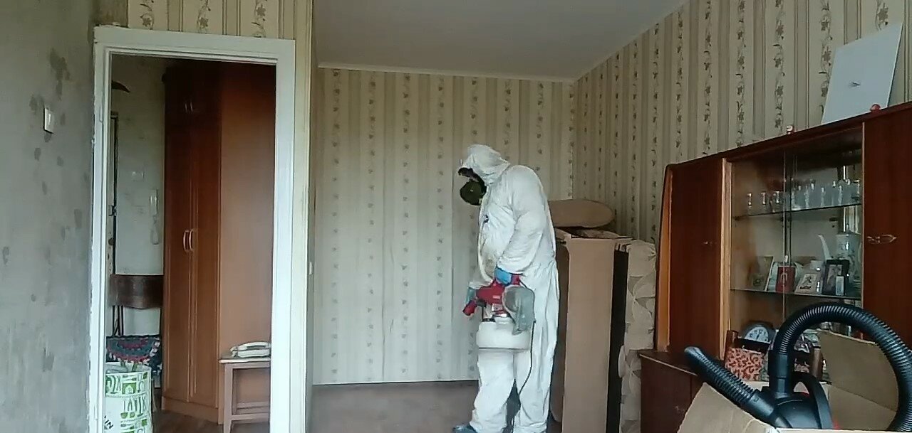 уничтожение клопов, дезинсекция, дезинсекция и дератизация, обработка от клопов, дезинфекция от клопов в квартире