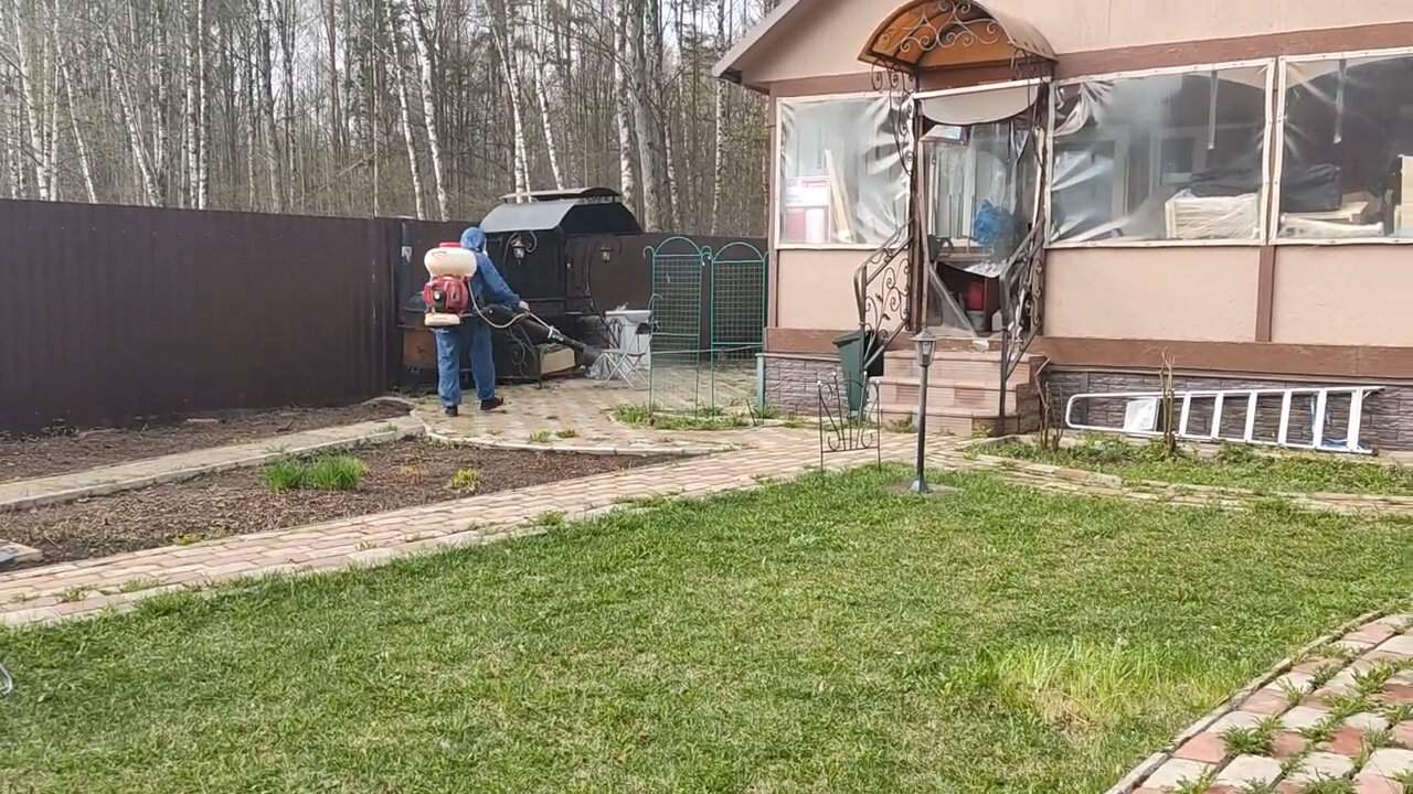 дача, дачные участки, участка, дом дача, участок ландшафтный дизайн