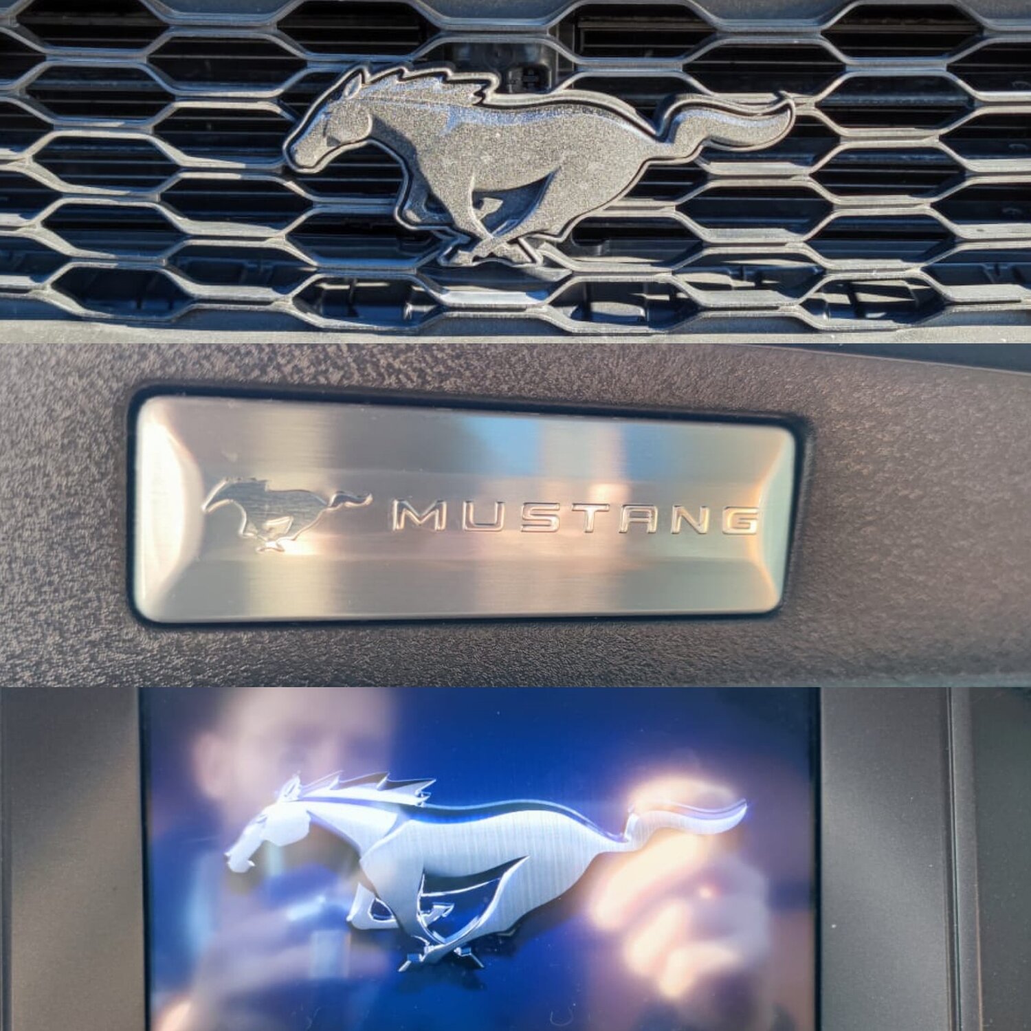 ford mustang, марка форд мустанг, ford mustang logo, логотип мустанг, значок мустанг gt