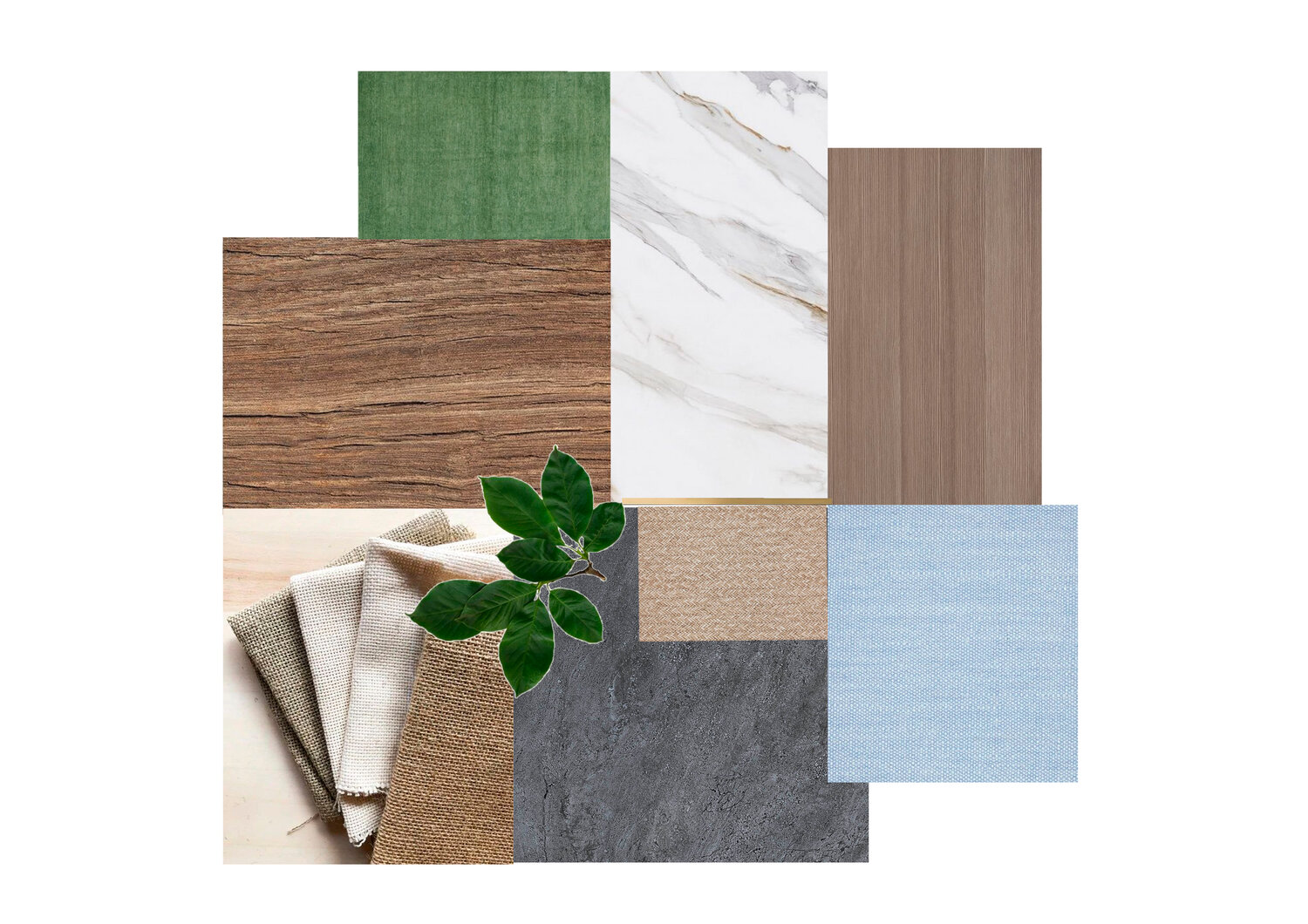 мудборд плитка, подборка материалов для интерьера, коллаж интерьера, фикус ретуза (лавровый), фикус