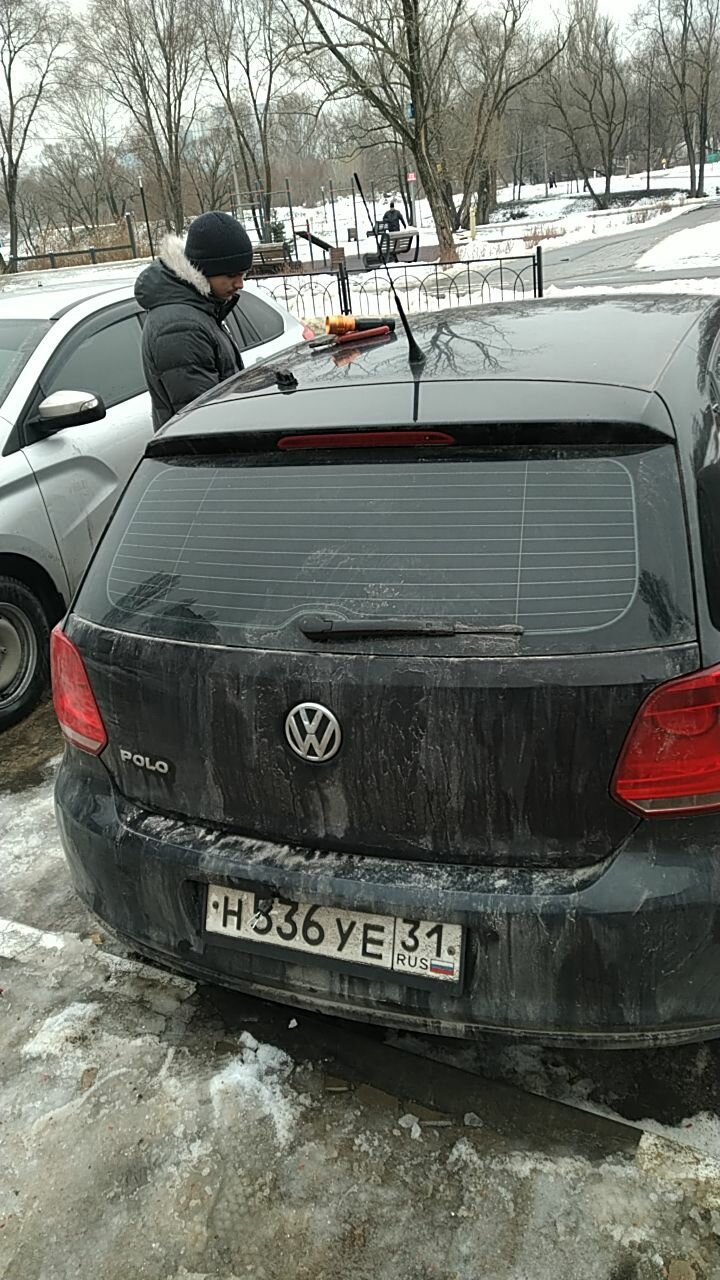 volkswagen polo, volkswagen polo 2012, авто, автомобиль, volkswagen polo сзади черный
