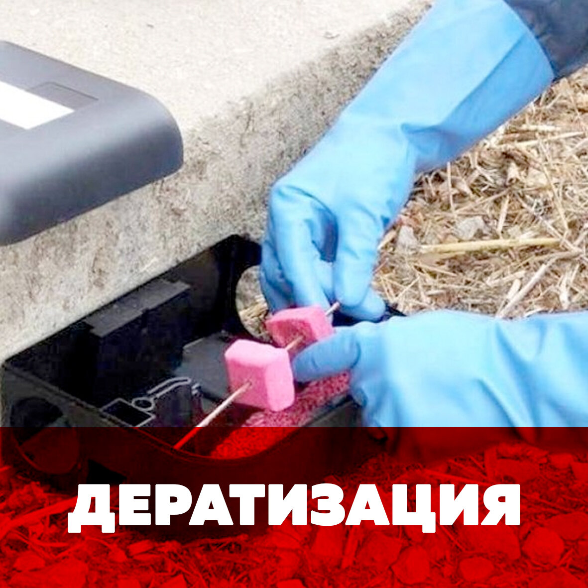 дератизация, дезинфекция дезинсекция дератизация, дератизация ловушки, дезинсекция и дератизация, дезинфекция