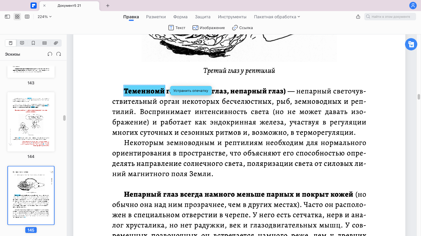 текст, мистический путь, человек, скриншот с текстом, литература