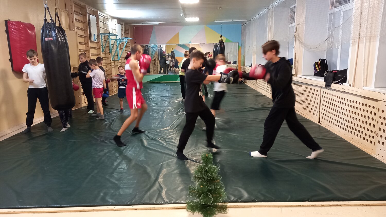тренировка по боксу, спортивный клуб, кикбоксинг, бокс, клуб единоборств