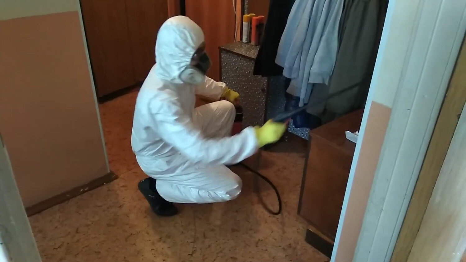 дезинсекция, дезинфекция, дезинфекция дезинсекция дератизация, дезинфекция помещений, дезинфекция и дезинсекция