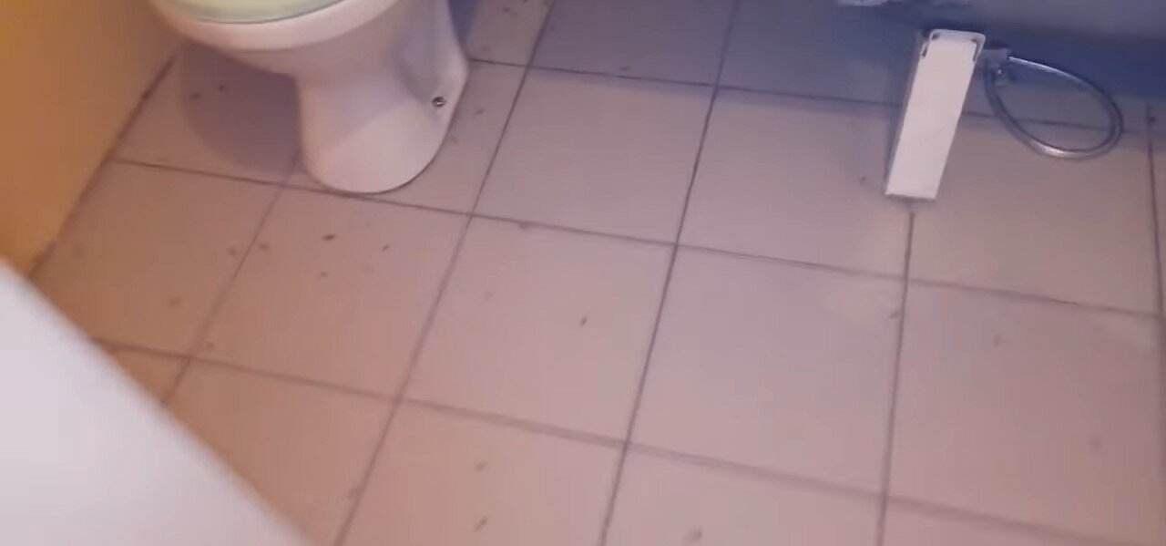 туалет, пол в туалете, унитаз, сон в туалете, школьный туалет