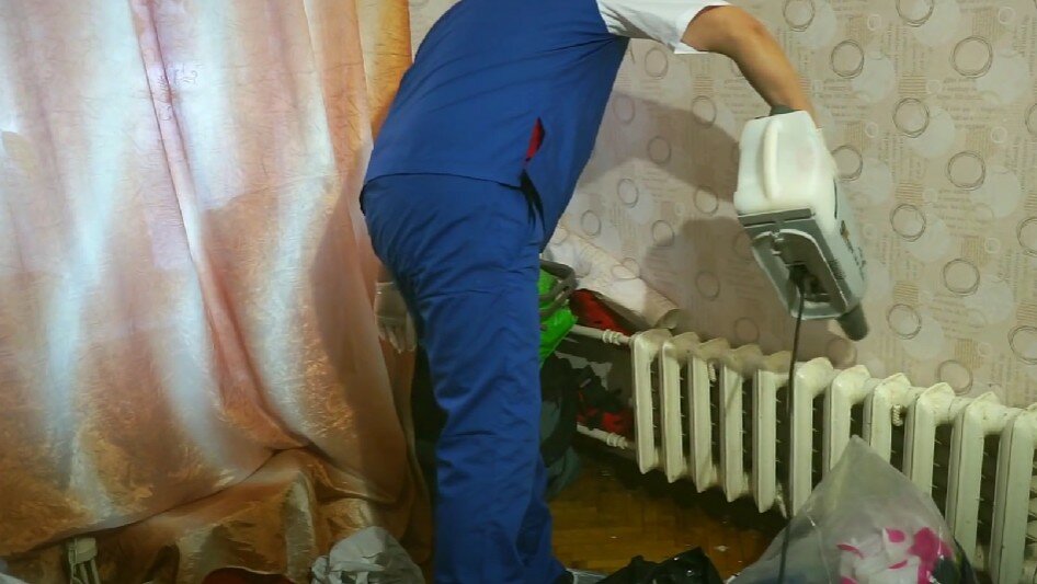 уничтожение клопов, дезинсекция, дезинфекция и дезинсекция, дезинфекция помещений, дезинфекция