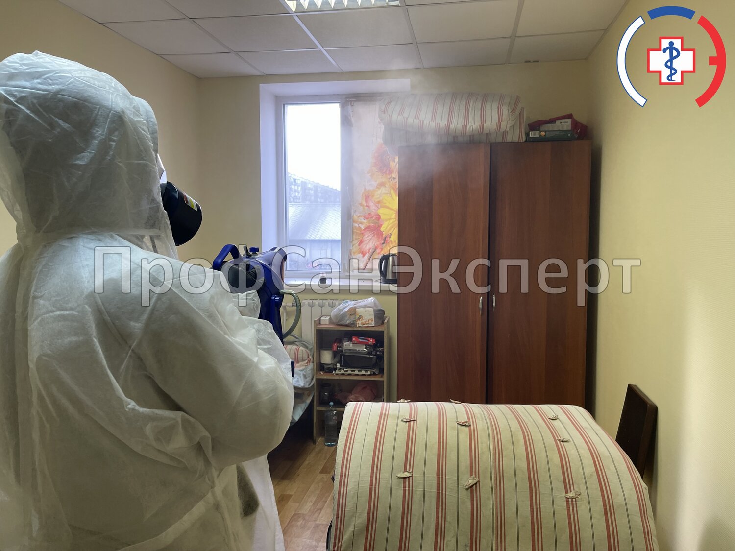 дезинсекция, дезинфекции, дезинфекция дезинсекция дератизация, дезинфекция от клопов, дератизация и дезинсекция