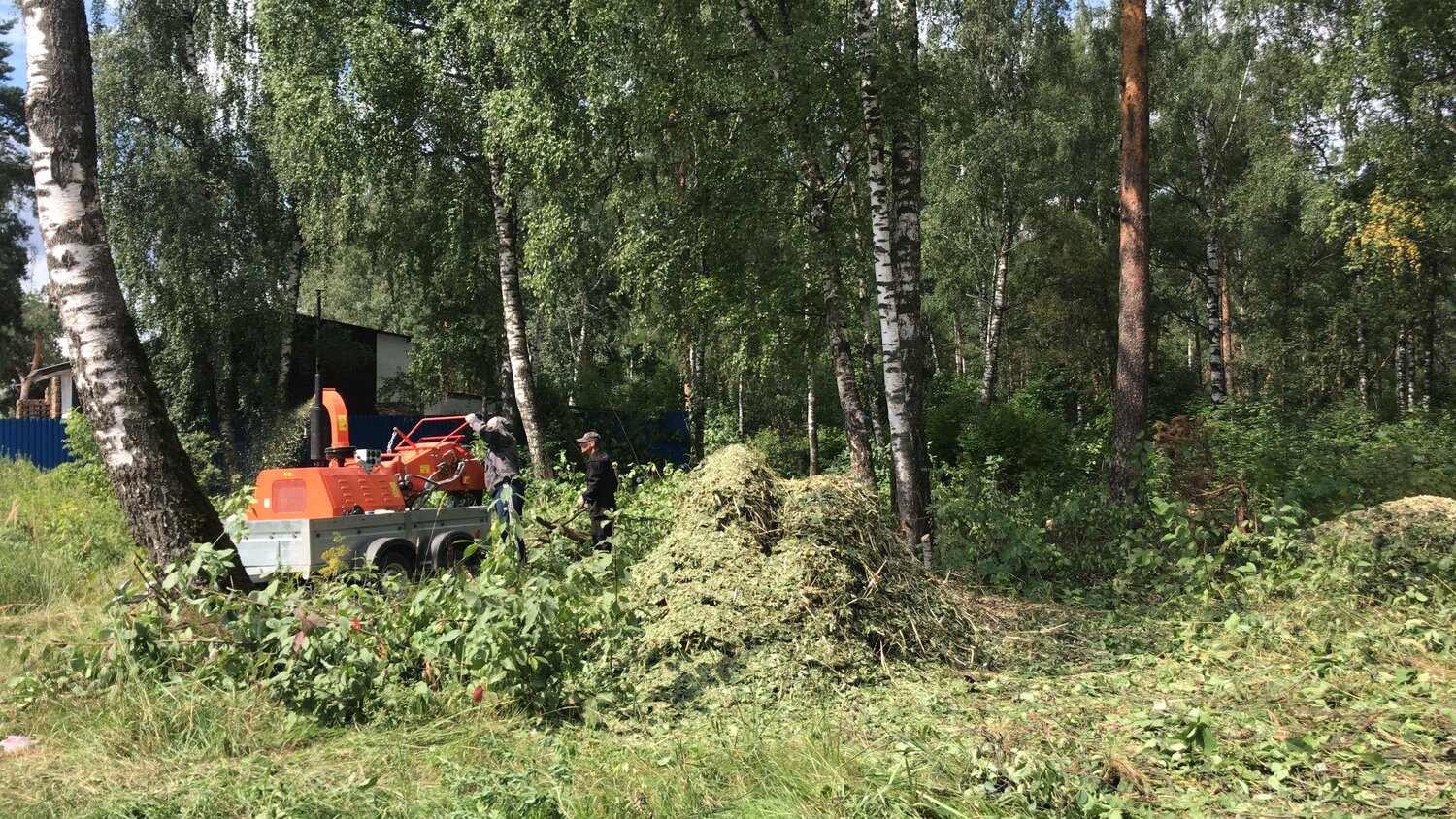 расчистка участка, расчистка, лесхоз, трактор в кустах, расчистка земель от древесно-кустарниковой растительности