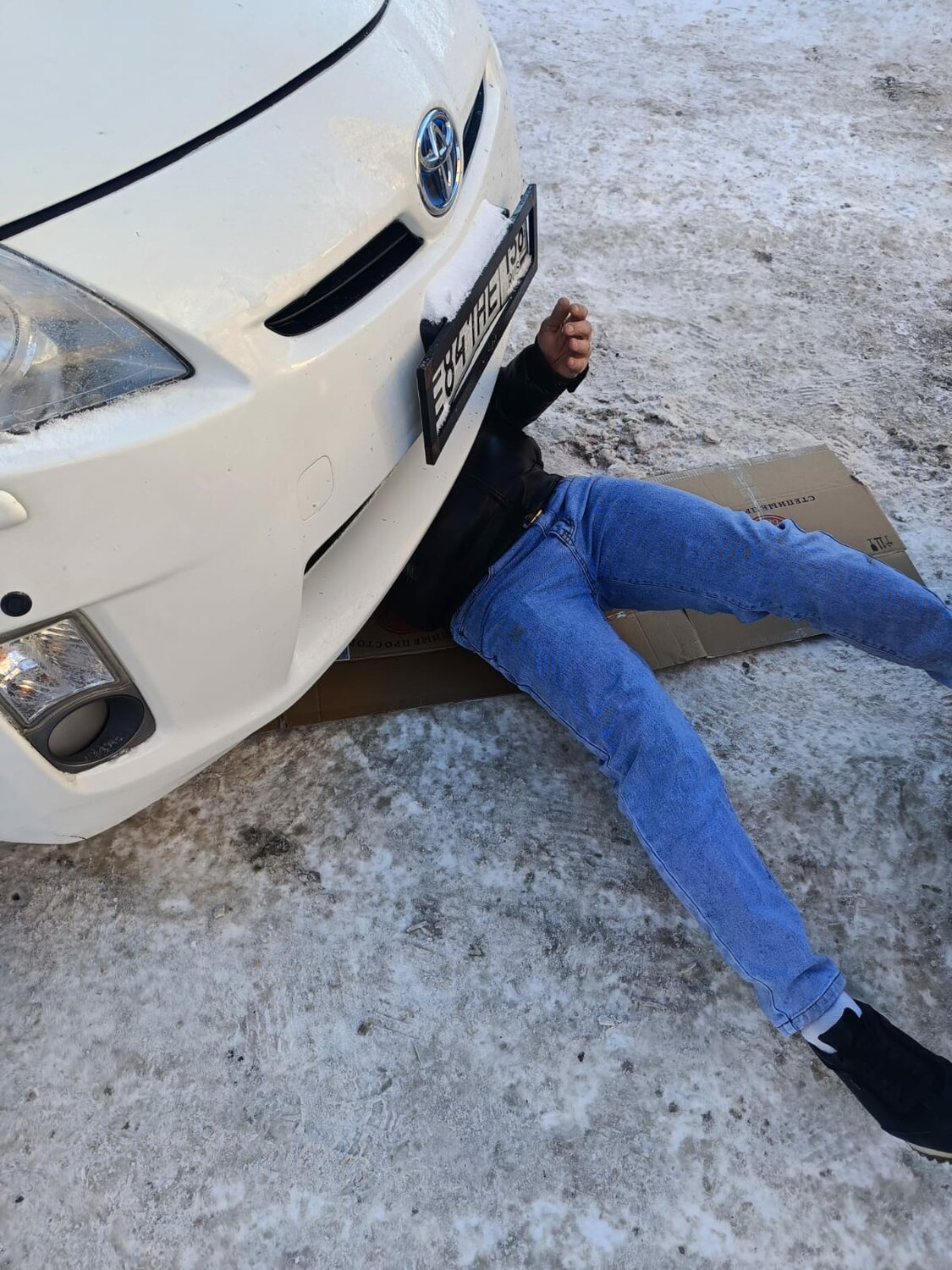 тойота приус в, toyota prius 30, тойота приус 30 кузов, авто, toyota prius 2010