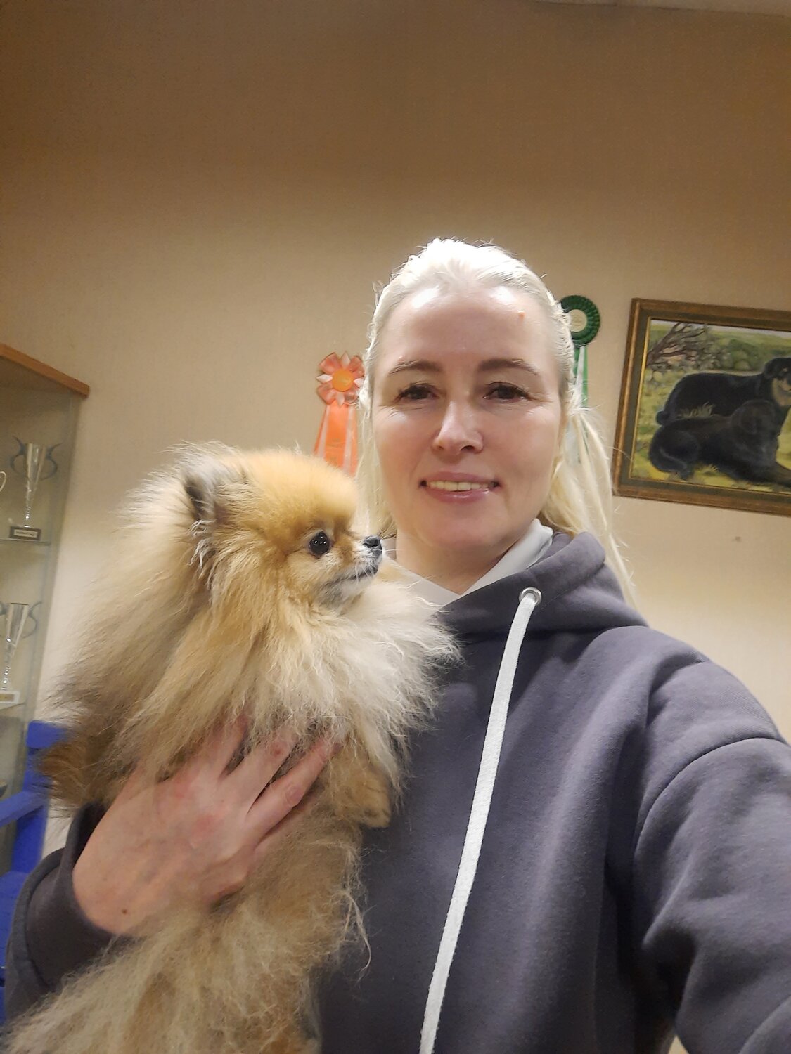 стрижка собак, грумер, ветеринар, стрижка животных, шпиц шпиц