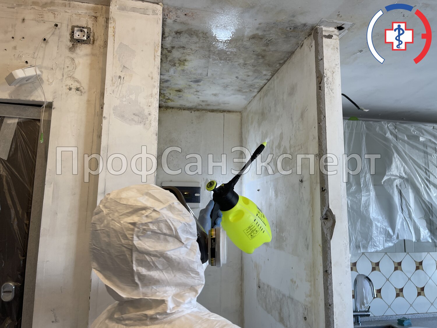 дезинфекция помещений, дезинфекция дезинсекция дератизация, дезинсекция, обработка от плесени, дезинфекции