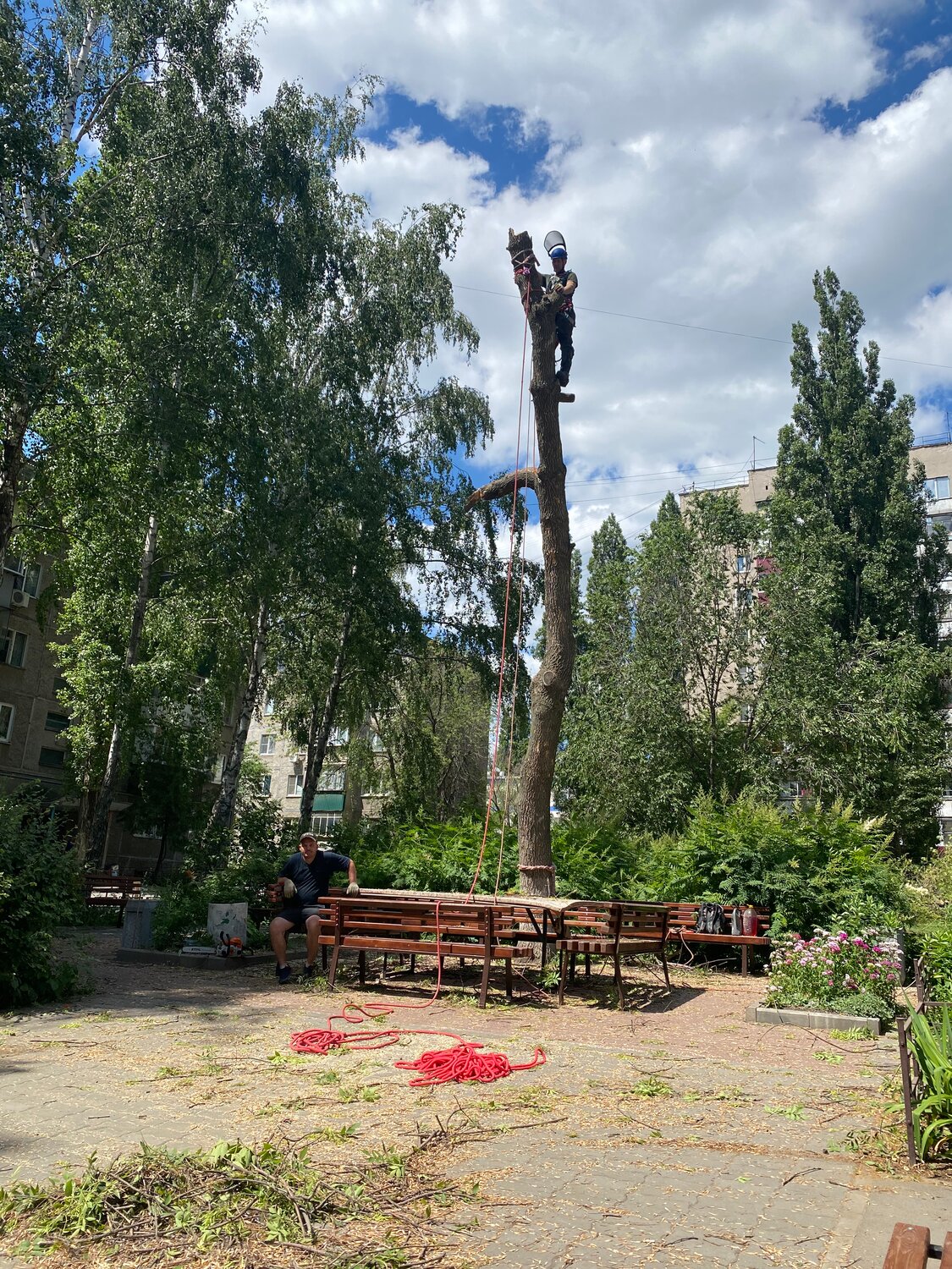 памятник янковскому в саратове, памятник, памятник воинам, памятник олегу янковскому в саратове, памятник петру и февронии в подольске