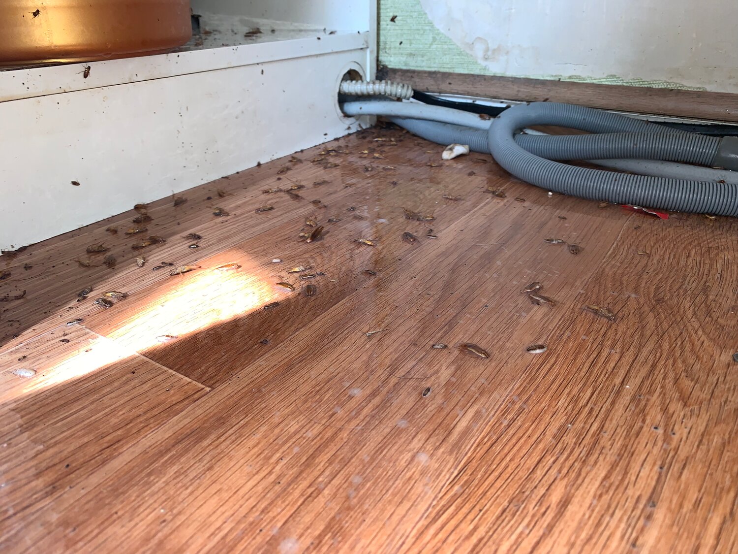 посудомоечная машина bosch spv45dx20r, подключение посудомоечной машины, встроенная посудомоечная машина, настольная посудомоечная машина, встраиваемая посудомоечная машина